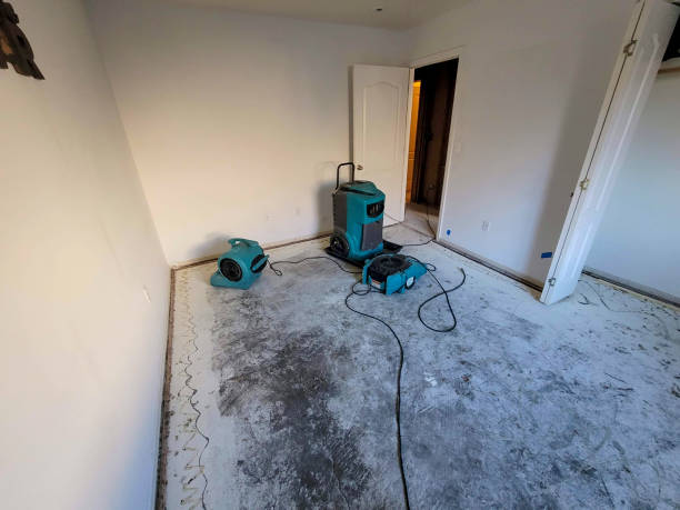 Best Water damage restoration process  in Winfield, KS