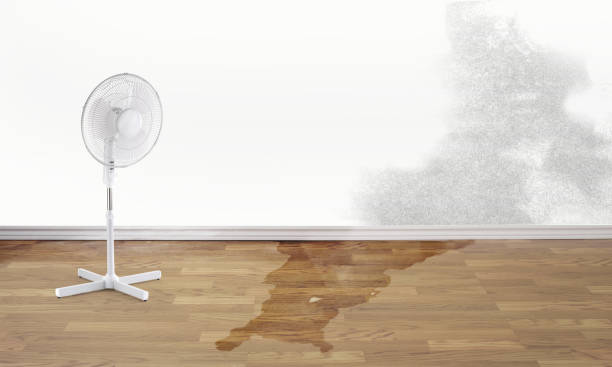 Best Fire Damage Restoration  in Winfield, KS