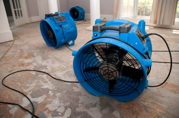 Best Sewage cleanup and water damage restoration  in Winfield, KS