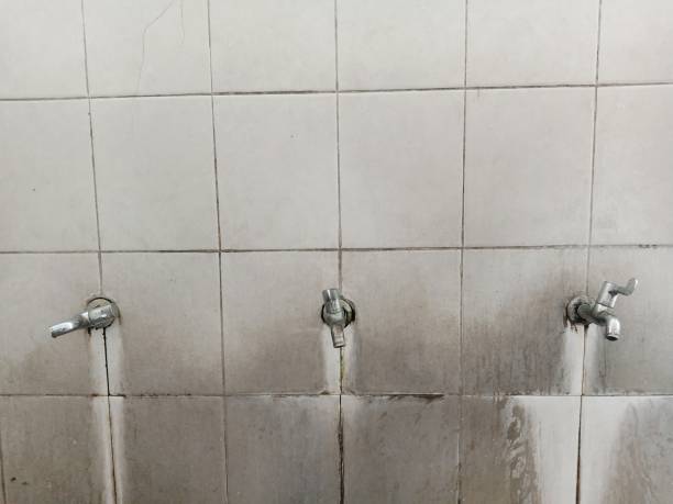 Best Flood restoration services  in Winfield, KS