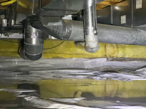 Best Sewage cleanup and water damage restoration  in Winfield, KS