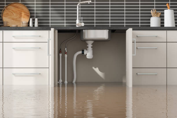 Best Water damage restoration near me  in Winfield, KS