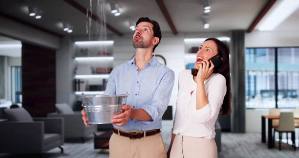 Best Ceiling water damage repair  in Winfield, KS